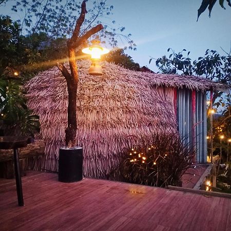 Natural Home دالات المظهر الخارجي الصورة
