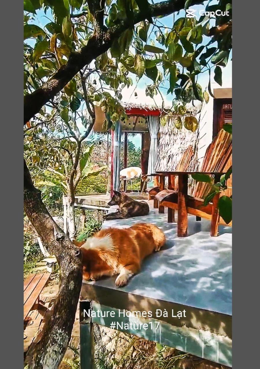 Natural Home دالات المظهر الخارجي الصورة