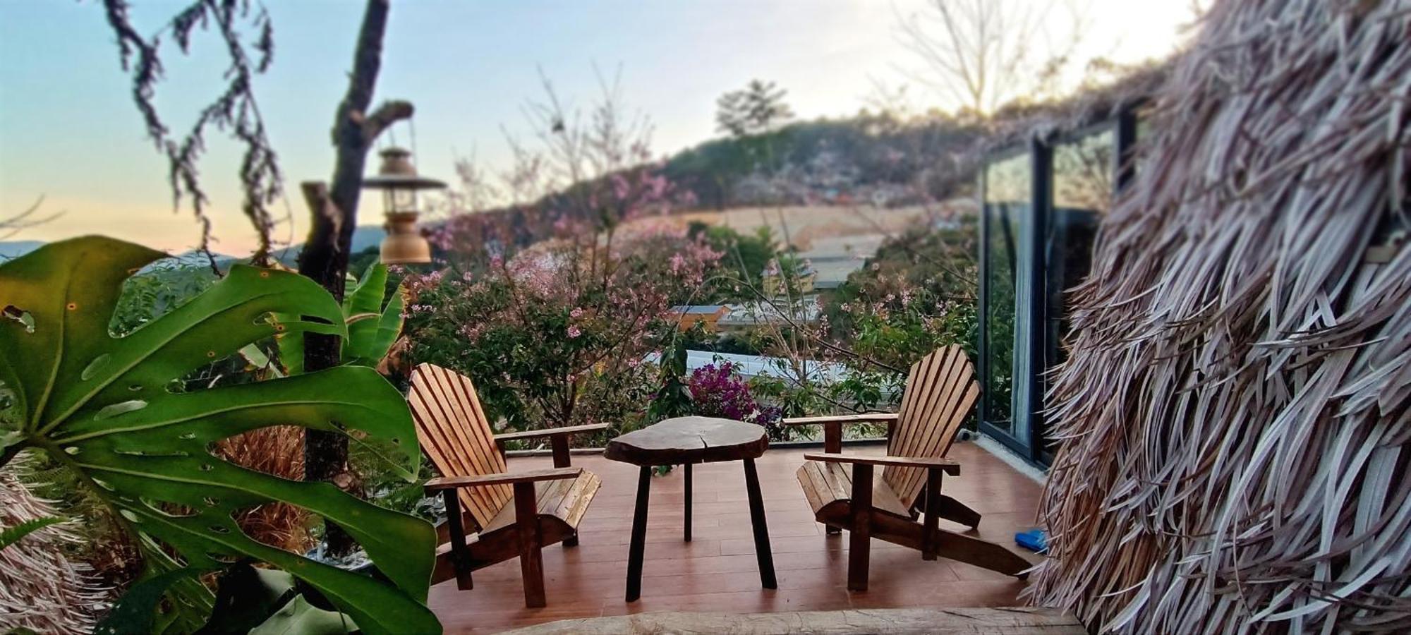 Natural Home دالات المظهر الخارجي الصورة