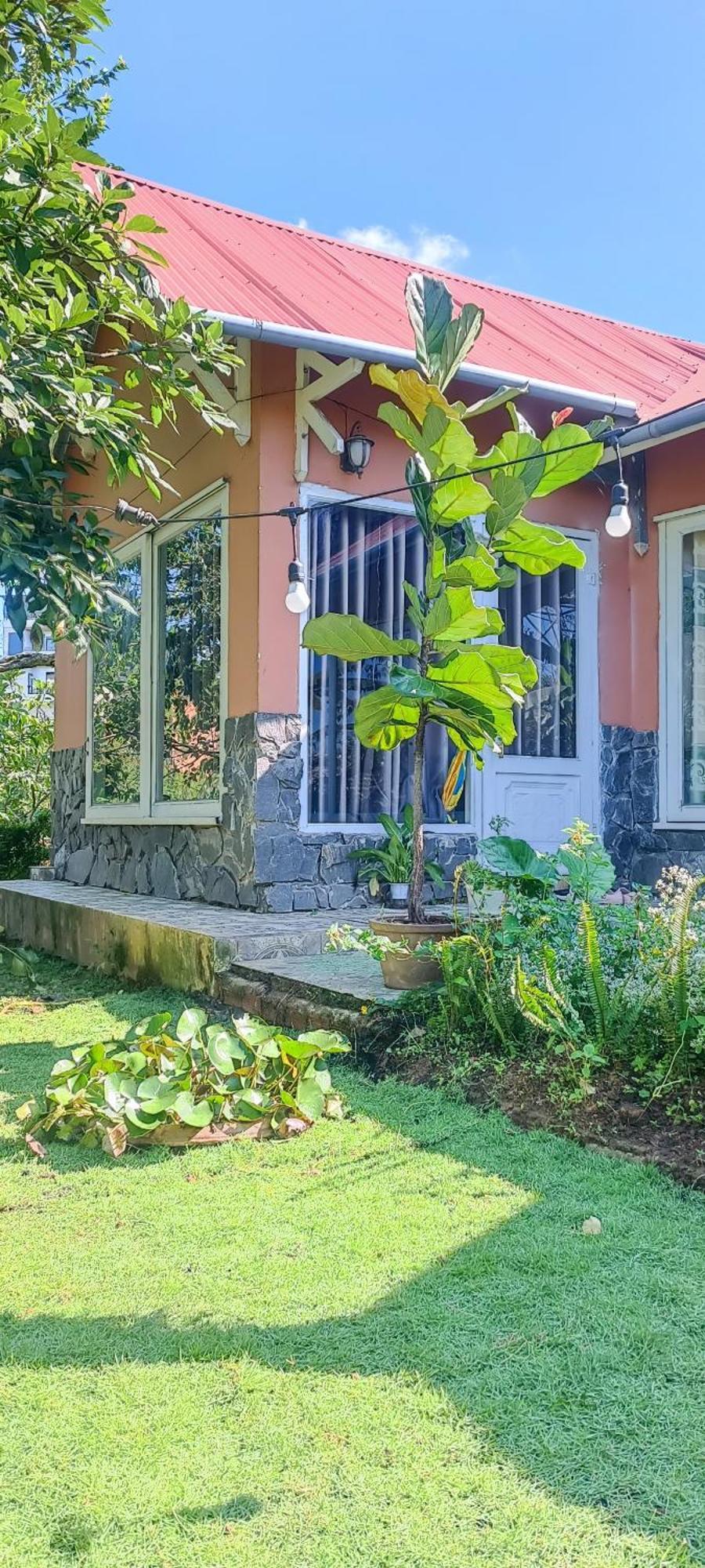Natural Home دالات المظهر الخارجي الصورة